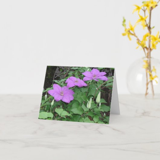 paarse clematis kaart (Gele Bloem)