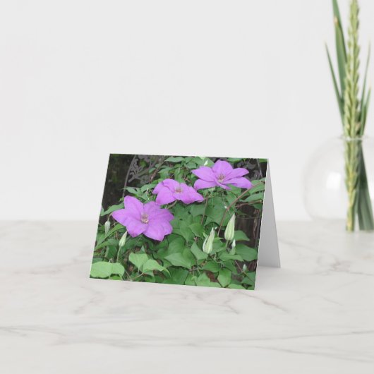 paarse clematis kaart (Voorkant)