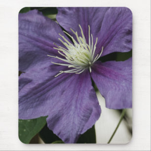 Paarse Clematis Mousepad Muismat