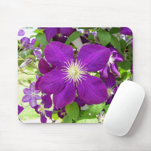 Paarse Clematis Muismat (Met muis)