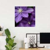 Paarse Clematis Poster (Thuiskantoor)