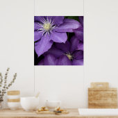 Paarse Clematis Poster (Keuken)