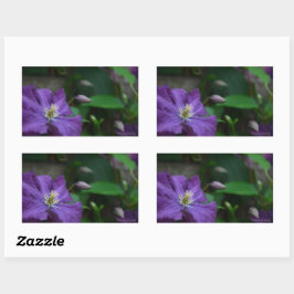 Paarse Clematis Rechthoekige Sticker
