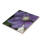 Paarse Clematis-Tegel Tegeltje (Zijkant)