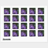 Paarse Clematis Vierkante Sticker (Vel)
