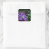 Paarse Clematis Vierkante Sticker (Tas)