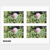 Paarse Clover Wildflower Foto Rechthoekige Sticker (Vel)