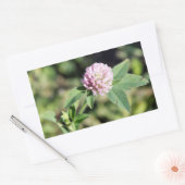 Paarse Clover Wildflower Foto Rechthoekige Sticker (Envelop)