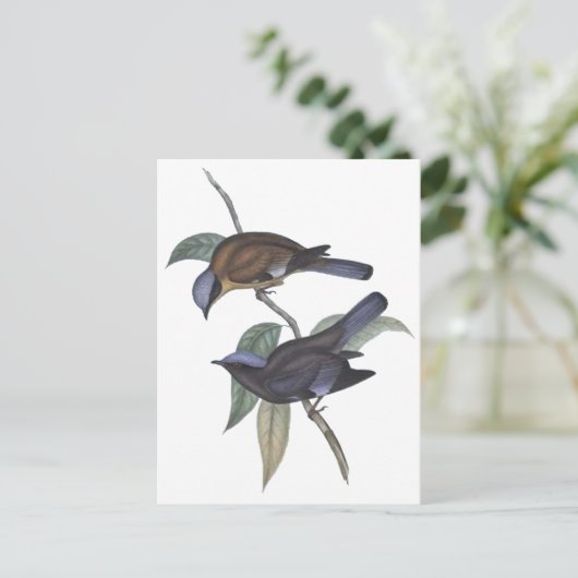 Paarse Cochoa Briefkaart (Staand voorkant)