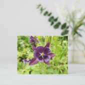 Paarse Columbine Briefkaart (Staand voorkant)