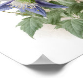 Paarse Columbine Flowers Art Print Poster (Hoek)