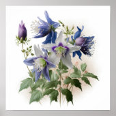 Paarse Columbine Flowers Art Print Poster (Voorkant)