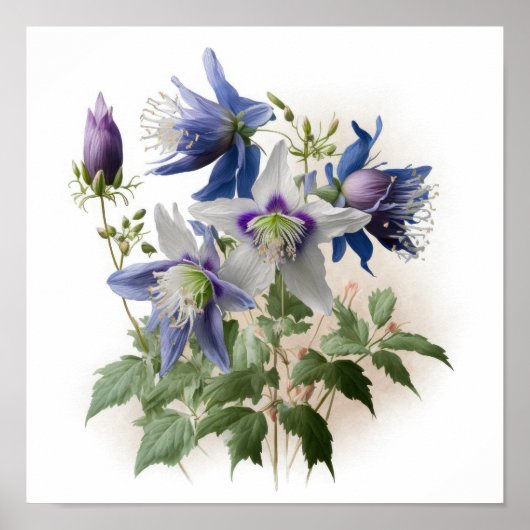 Paarse Columbine Flowers Art Print Poster (Voorkant)