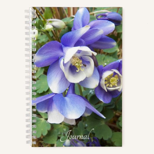 Paarse Columbine Flowers Floral Notitieboek (Voorkant)