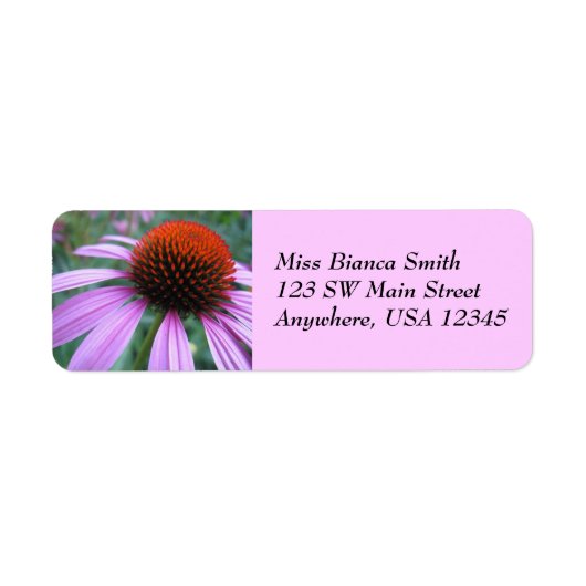 Paarse Coneflower Adresetiketten Etiket (Voorkant)