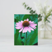 Paarse Coneflower Daisy Briefkaart (Staand voorkant)