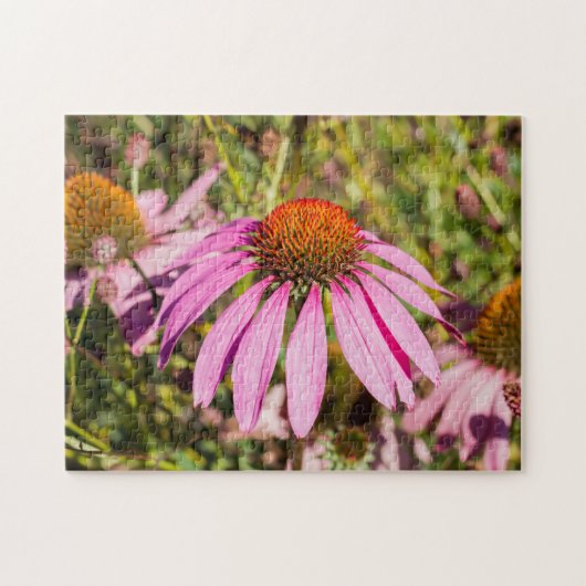 Paarse Coneflower Jigzaag Puzzle Legpuzzel (Horizontaal)