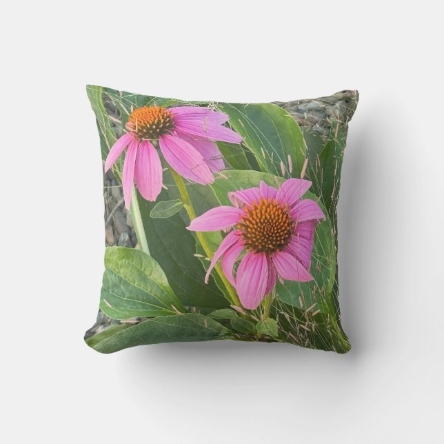Paarse Coneflower Photo Pillow Buitenkussen (Voorkant)