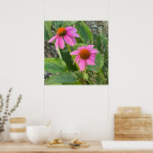 Paarse Coneflower Photo Poster (Keuken)