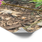 Paarse Coneflower Photo Poster (Hoek)