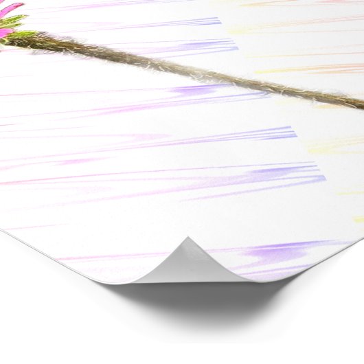 Paarse Coneflower Photo Poster (Hoek)