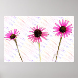 Paarse Coneflower Photo Poster