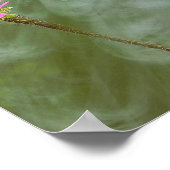 Paarse Coneflower Photo Poster (Hoek)