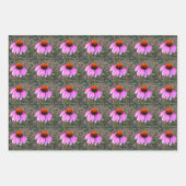 Paarse Coneflower Wrapping Paper Sheets (Voorkant 2)