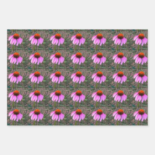 Paarse Coneflower Wrapping Paper Sheets (Voorkant 2)