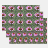 Paarse Coneflower Wrapping Paper Sheets