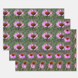 Paarse Coneflower Wrapping Paper Sheets