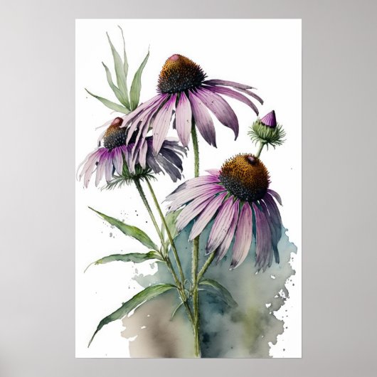 Paarse Coneflowers Art Print Poster (Voorkant)