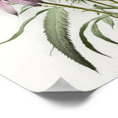 Paarse Coneflowers Art Print Poster (Hoek)