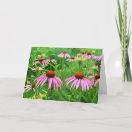 Paarse Coneflowers Bedankkaart