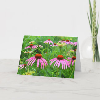 Paarse Coneflowers Bedankkaart