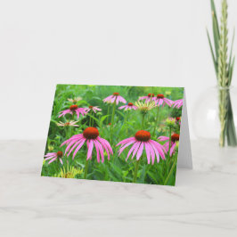 Paarse Coneflowers Bedankkaart