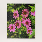 Paarse Coneflowers, Bute Park, Cardiff, Wales Legpuzzel (Verticaal)