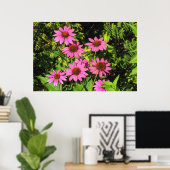 Paarse Coneflowers, Bute Park, Cardiff, Wales Poster (Thuiskantoor)