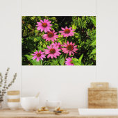 Paarse Coneflowers, Bute Park, Cardiff, Wales Poster (Keuken)