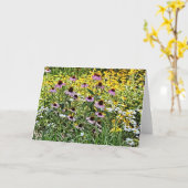 Paarse Coneflowers en Daisies Art Kaart (Gele Bloem)
