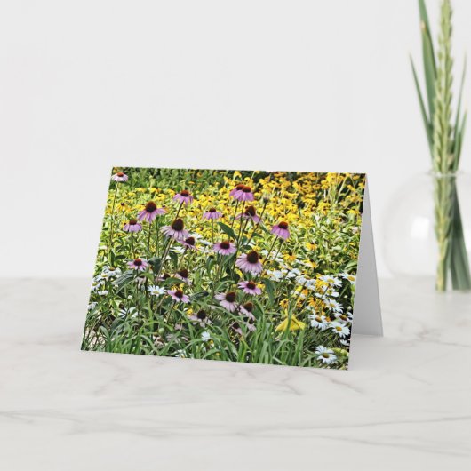 Paarse Coneflowers en Daisies Art Kaart (Voorkant)