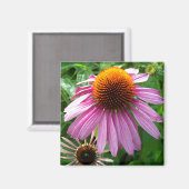 Paarse Coneflowers Magneet (Voorkant / Achterkant)