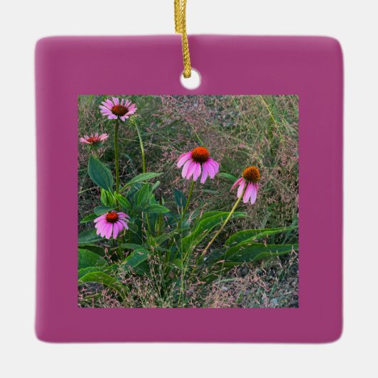 Paarse Coneflowers Ornament (Voorkant)