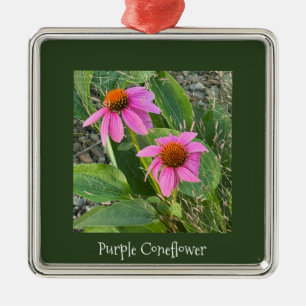 Paarse Coneflowers Ornament