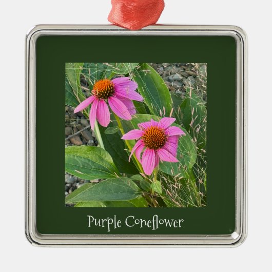Paarse Coneflowers Ornament (Voorkant)