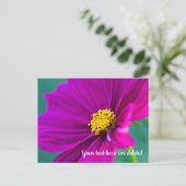 Paarse Cosmos Ansichtkaart Briefkaart (Staand voorkant)