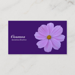 Paarse Cosmos - Diep Paars 330066 Visitekaartje
