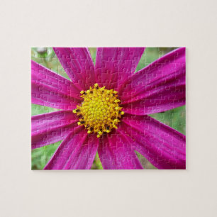 Paarse Cosmos Wilde Bloem Legpuzzel
