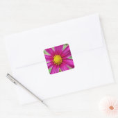 Paarse Cosmos Wilde Bloem Vierkante Sticker (Envelop)