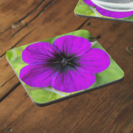 Paarse Cranesbill Geranium Floral Bier Onderzetter